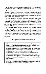 Практикум по русскому языку для старшеклассников и абитуриентов